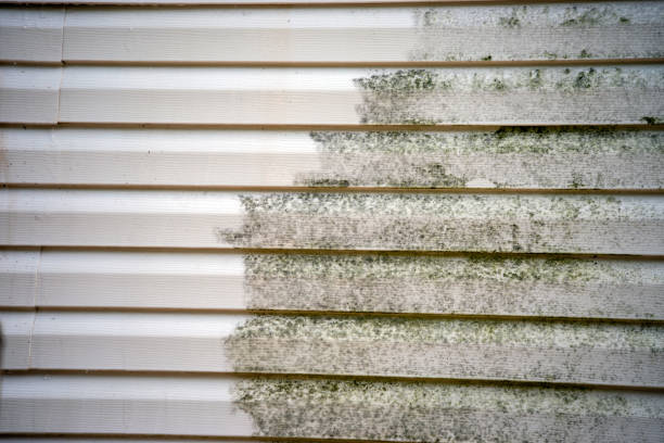 Professional Siding Installation & Repair in Willamina, OR