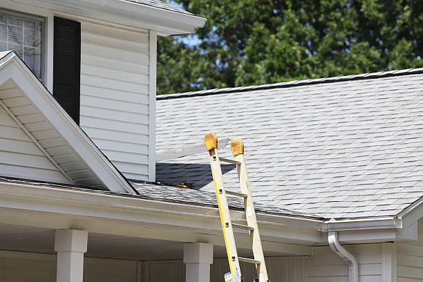 Best Storm Damage Siding Repair  in Willamina, OR